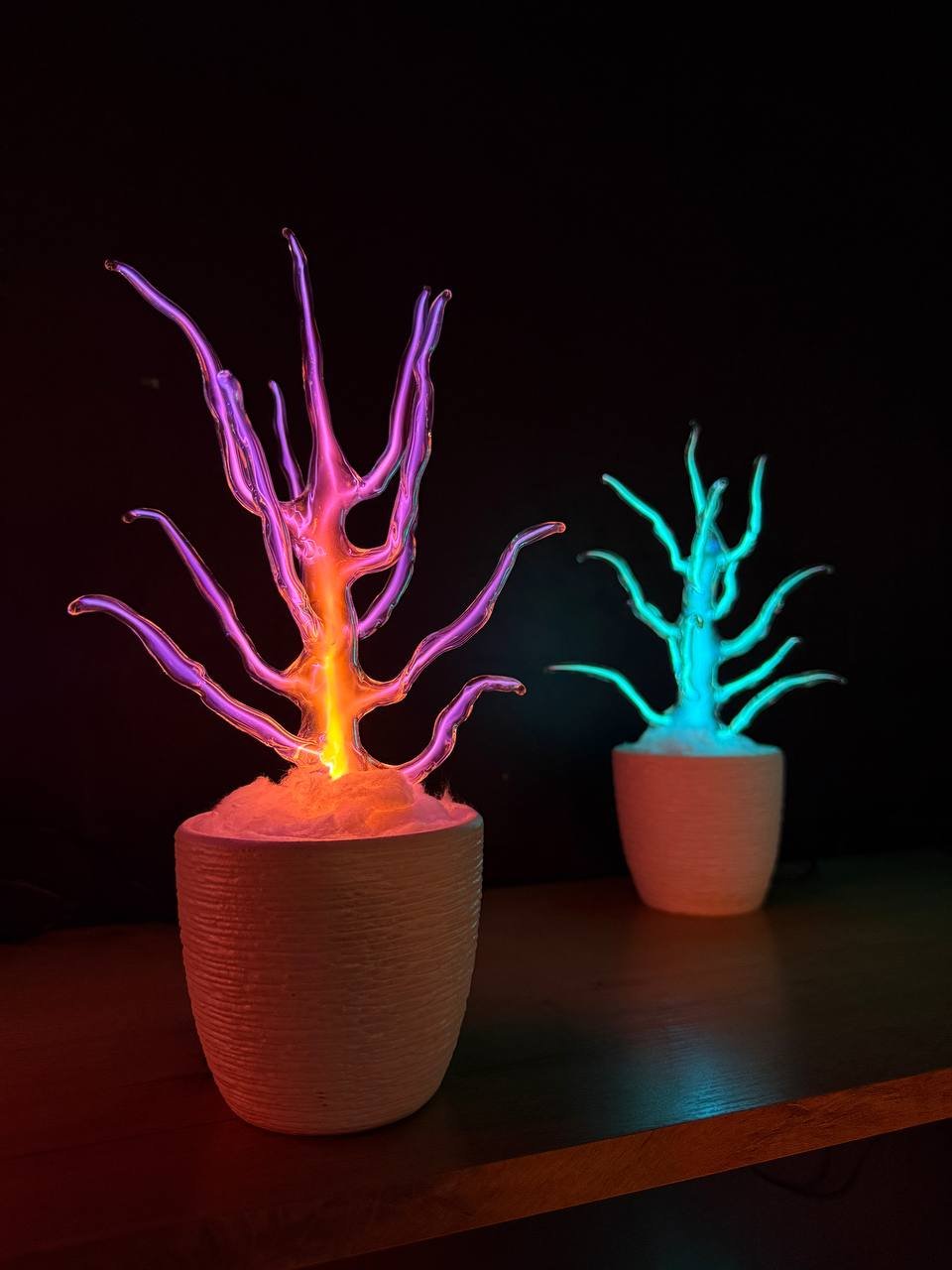 Two arboroids: pink and teal